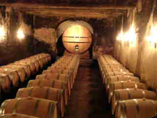 Writing, including Lethal Harvest, a thriller set in California's wine countr